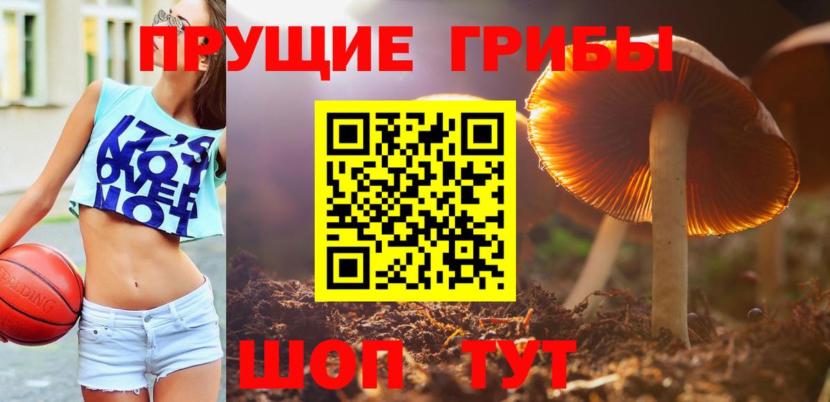 Галлюциногенные грибы мухоморы Всеволожск