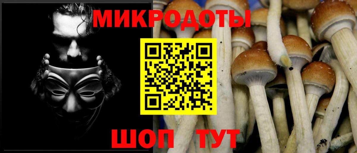 Галлюциногенные грибы GOLDEN TEACHER  Вход с VPN  Всеволожск 